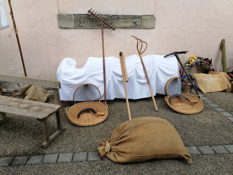 IMG_20240519_095149 - Copie.jpg