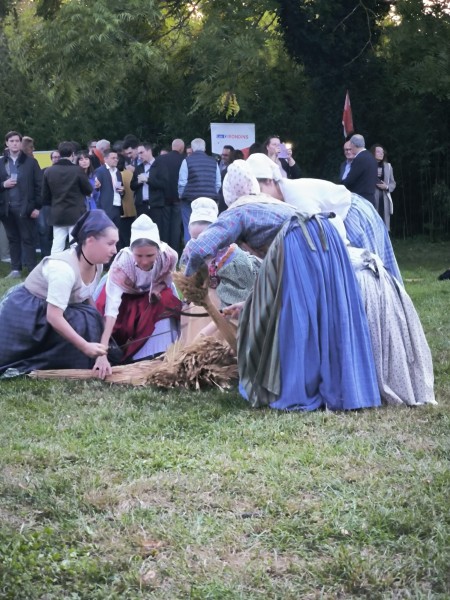 WhatsApp Image 2025-10-02 at 17.40.11.jpg