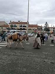 IMG_20250427_113418.jpg IMG_20250427_113418.jpg