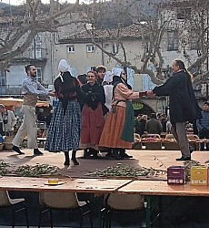 IMG-20250203-WA0171.jpg IMG-20250203-WA0171.jpg