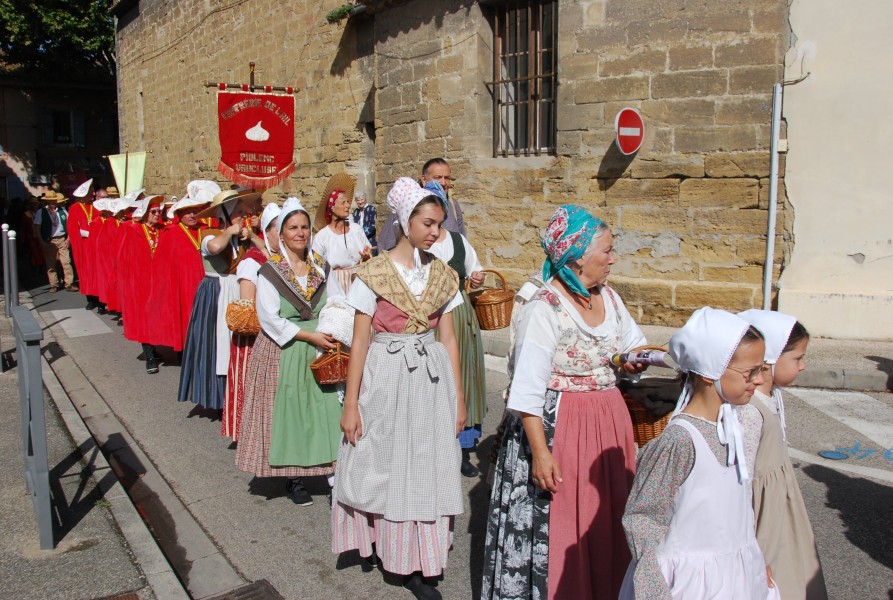 ban vendanges escolo_2025_13.jpg