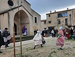 WhatsApp Image 2025-12-20 at 16.29.48.jpg