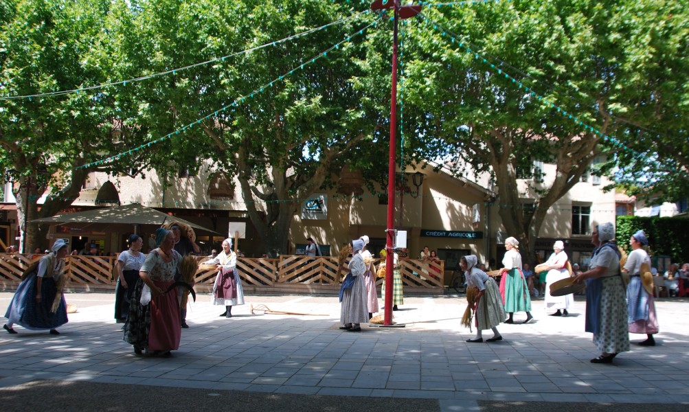 DSC_0132.jpg