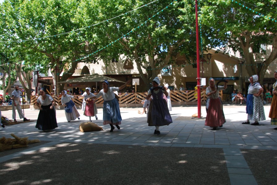 DSC_0135.jpg