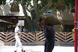 DSC_0129.jpg