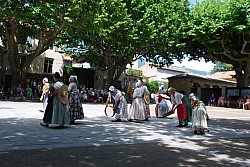 DSC_0130.jpg
