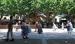 DSC_0131.jpg