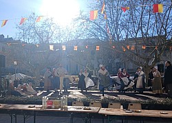 WhatsApp Image 2026-02-03 at 16.37.53 (1).jpg