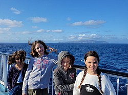 20240722_084302.jpg 20240722_084302.jpg