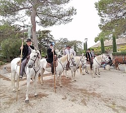 IMG_20241007_075124.jpg IMG_20241007_075124.jpg