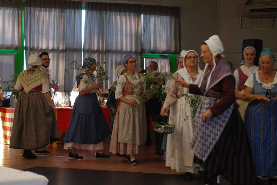 temps de l'olivaison 2022_06.jpg