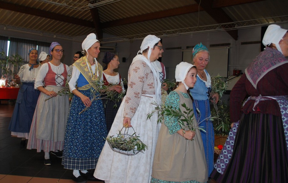 temps de l'olivaison 2022_07.jpg