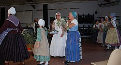 temps de l'olivaison 2022_05.jpg