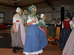 temps de l'olivaison 2022_09.jpg